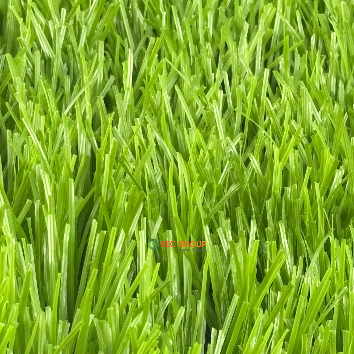 Cỏ nhân tạo sân bóng SFA-581313S2