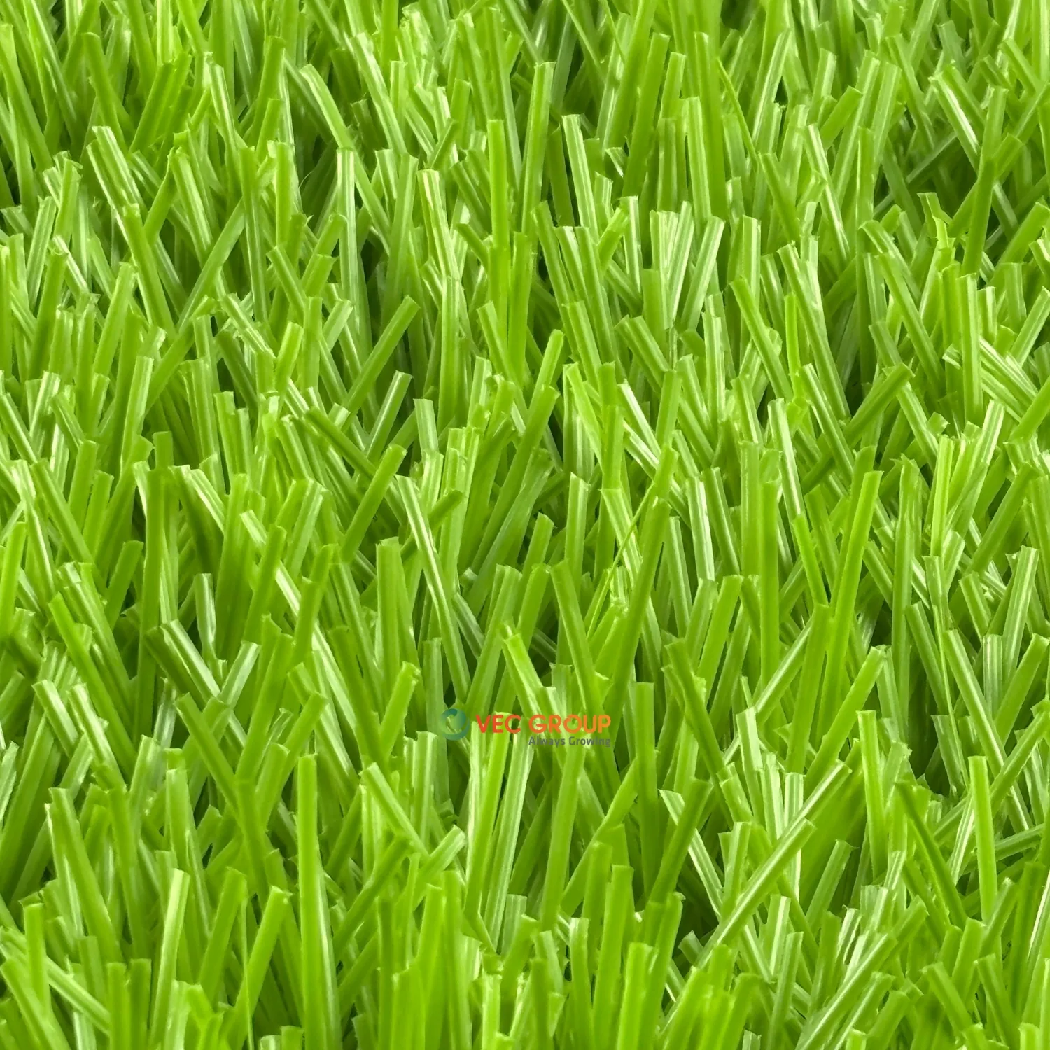 Cỏ nhân tạo sân bóng SFA-581613S2