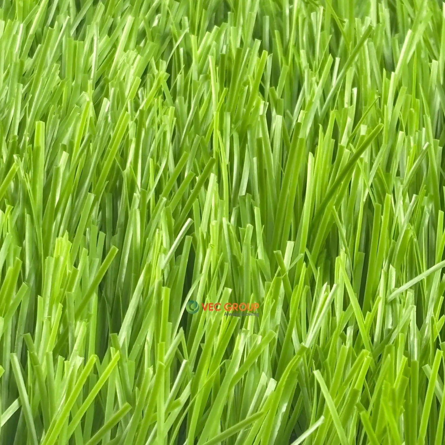 Cỏ nhân tạo sân bóng SFA-581680D2