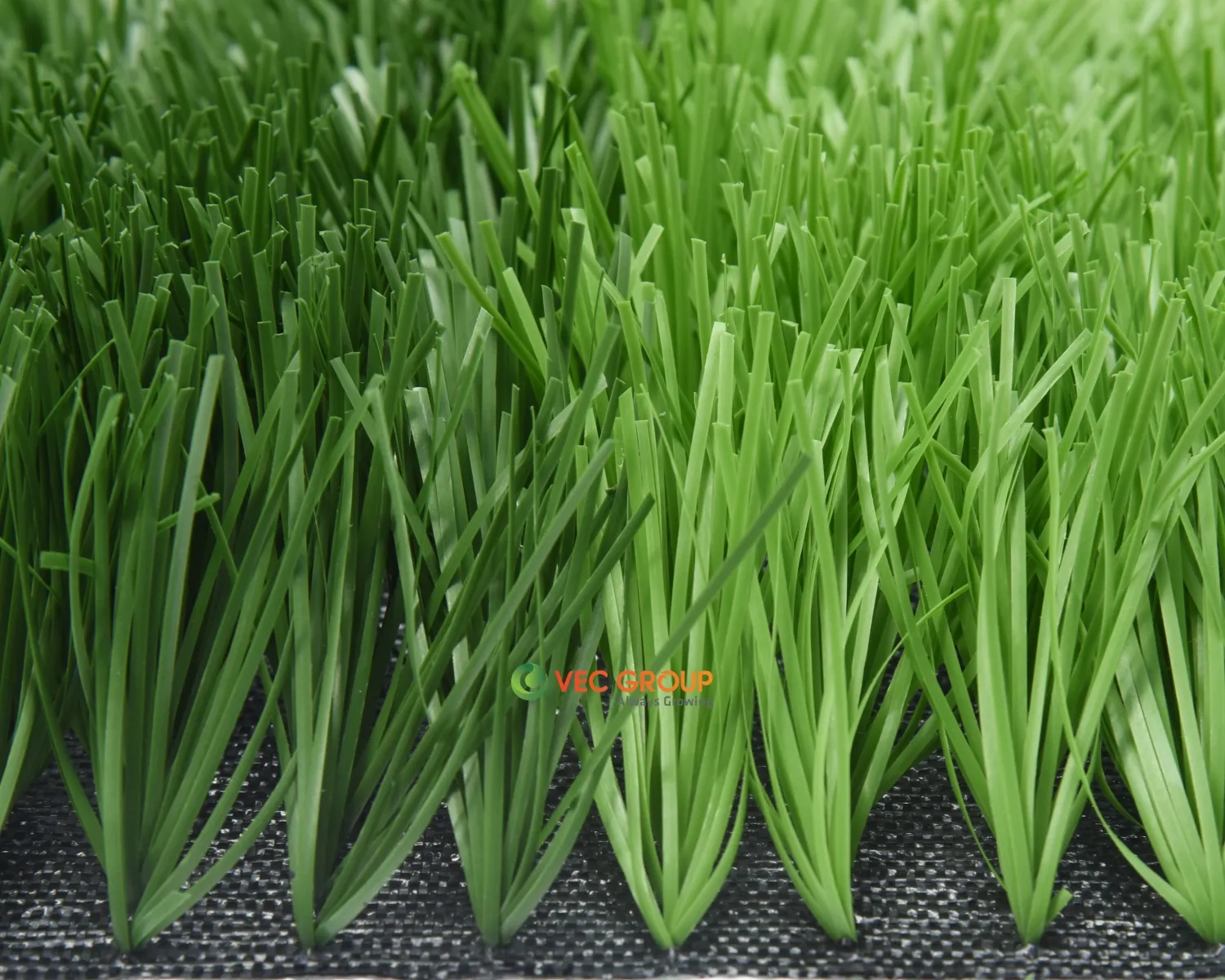 Cỏ nhân tạo sân bóng SFC-381280D2
