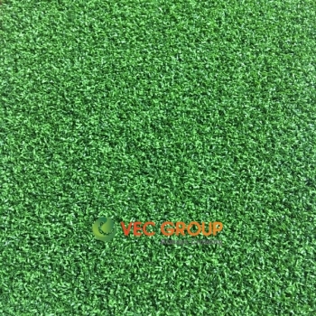 Cỏ sân Golf VGA20