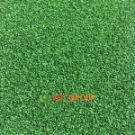 Cỏ sân Golf VGA22