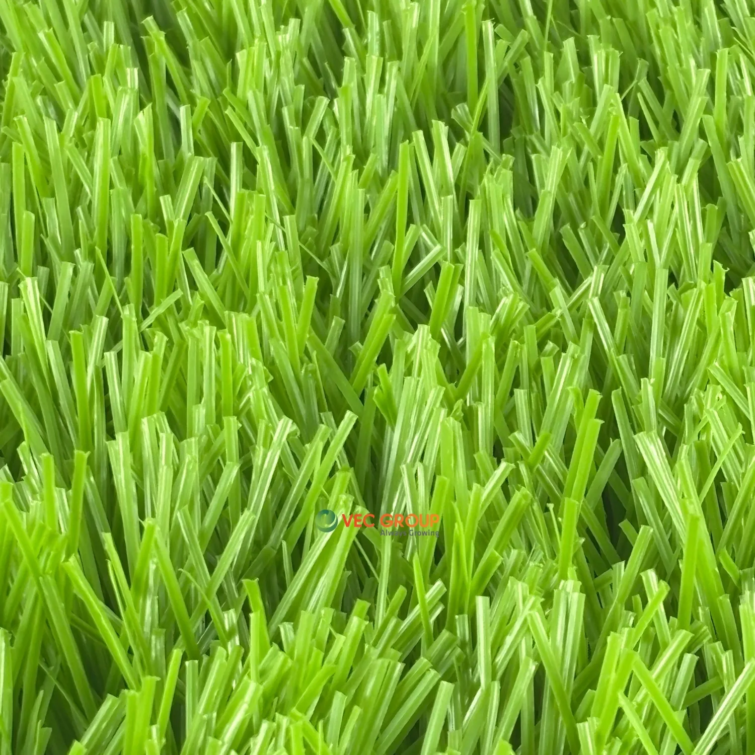 Cỏ nhân tạo sân bóng SFA-581513D2