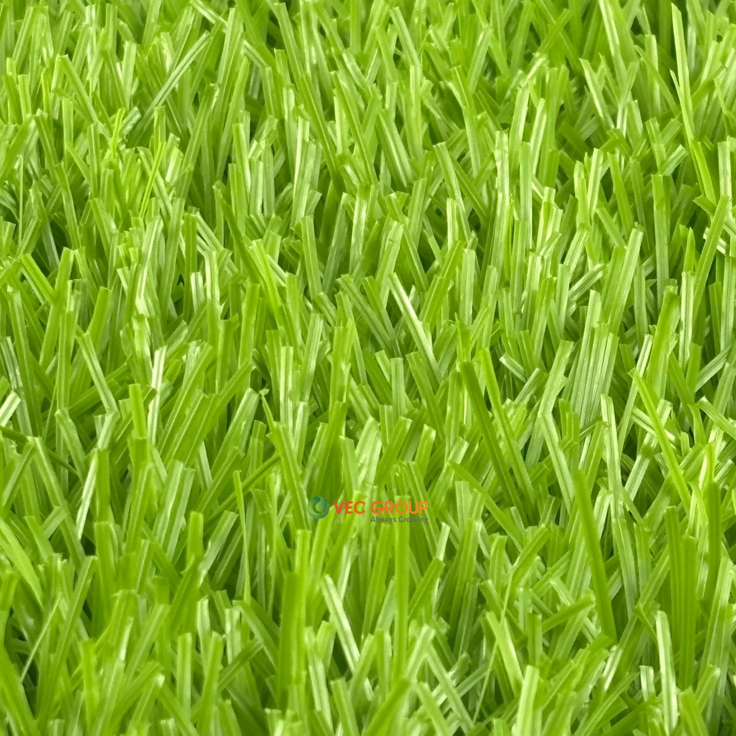 Cỏ nhân tạo sân bóng SFA-581688S2