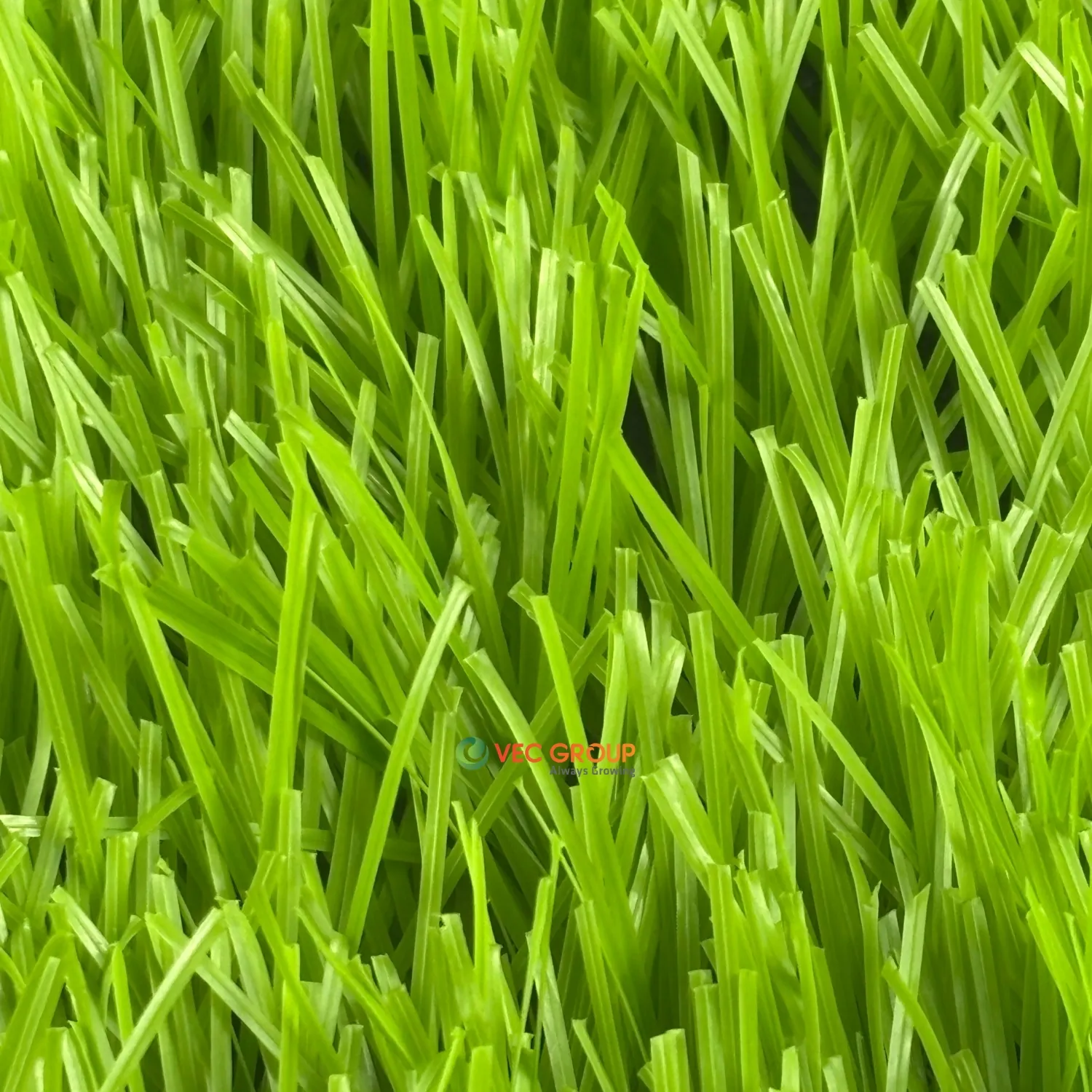 Cỏ nhân tạo sân bóng SFA-581413D2