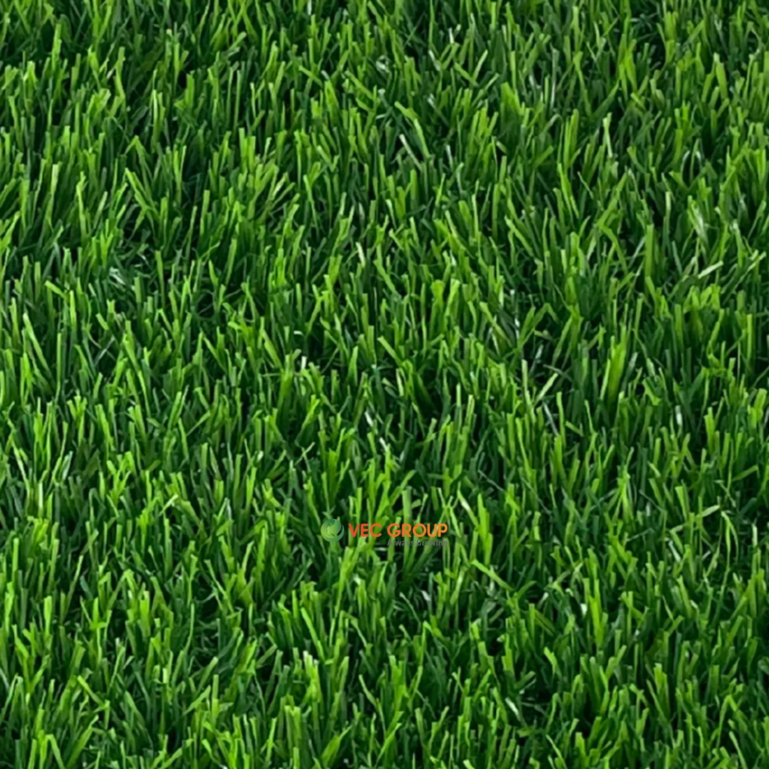 Cỏ nhân tạo sân vườn SLA-381862S40