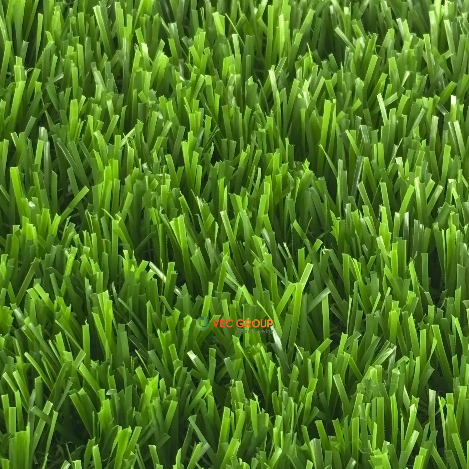 Cỏ  nhân tạo sân vườn SLC-382262S30