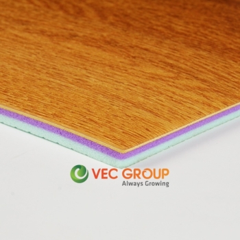 Thảm sân bóng rổ PVC hãng Enlio