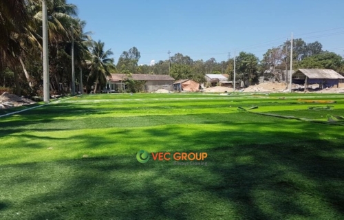 Kinh doanh sân bóng mini nhân tạo ở nông thôn và những lưu ý cần biết